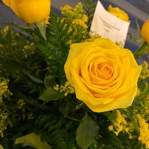 Meet your Posher, April